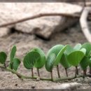 금순목장 이미지