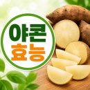 야콘 | 야콘효능 제대로 알면 생으로 먹는 이유가 달라집니다