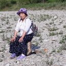 팔봉산로 Daum카페