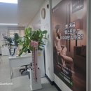 (주)하꾸주코리아