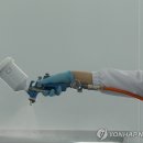 유성카중기 이미지