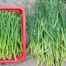 공벌레공방