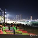 빛의바다 이미지
