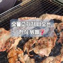 초원도야지