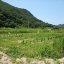 강변농장 이미지