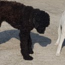 봉춘농장 이미지