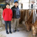 벼랑소랑 이미지