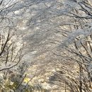 본연 - 세종특별자치시 | 본연