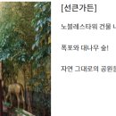 노블레스타워 부속의원 이미지