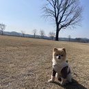 송이공원 화장실 이미지