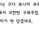 고기스타