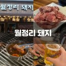 일품돼지볶음 | 광주 금호동 맛집 오독오독 씹는 맛이 일품이었던 월정리돼지 양념오돌뼈 솔직 후기!