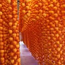 유정농장 이미지