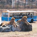 자연농원 이미지