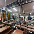 용인대탑 권투체육관 이미지