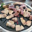 금성식당 이미지