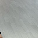 캣플헤븐 AK플라자금정점 이미지