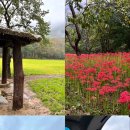 광주북구시니어클럽 자연으로 이미지