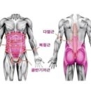 올데이코어 이미지