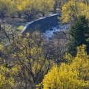 처연의 소리 이미지