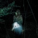 자학농장 이미지