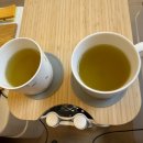 힐링엔젤스 영대점