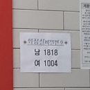 오토바이 / 무단횡단이 대다수인 교통사고.gif (주의) 이미지