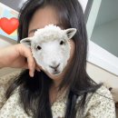 동진미용실 | [후기] 성수 미용실 | 로위 성수블랙점