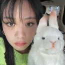 더팬크리에이티브 이미지