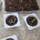 정식농장 이미지