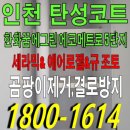 에코메트로5단지 | 인천 탄성코트 한화꿈에그린 에코메트로 5단지 창틀 실리콘 갈라짐 보수 후 규조토 도색 후기