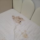 아이원약국 | 11개월 아기 아이원병원 토장염 탈수 입원 후기 1편 구로고대응급실 비추