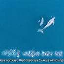 이영란농장 이미지