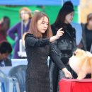 에버노블 이미지