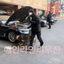 더메인라인