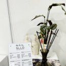 네일슬로 이미지