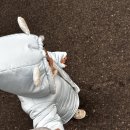 관악소아치과의원 이미지