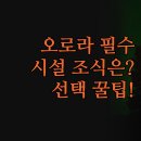 오너카하우스 | 인 | 위치 시설 조식 서비스 완벽 비교 분석 | 오로라 여행자 최적의 선택 꿀팁 | 실제 투숙객 솔직 후기