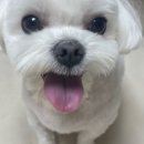 살롱아르르 이미지