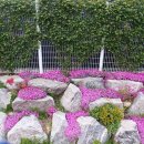 수암저수지 이미지