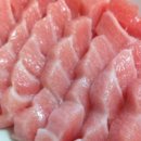 도참치 이미지
