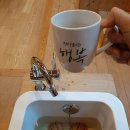 힐링의 선물, 삼척 활기 치유의 숲 탐방기 🌲✨