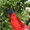 사계절농장 이미지