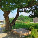 송삼