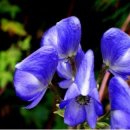 약손청담한의원 이미지