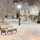 그린풍경 이미지