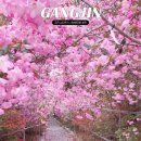 강진-36 | 강진 남미륵사 서부해당화 철쭉 명소 위치 주차장 실시간 개화현황