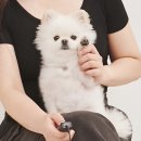 잇츠밤비 이미지