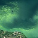 대발농장 이미지