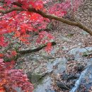 한국문학예술협회 시낭송 | #국제교육뉴스 기자 이성려 #청계산의 유래 # 한국작가협회의 청계산 벤치 등산·시낭송 모임